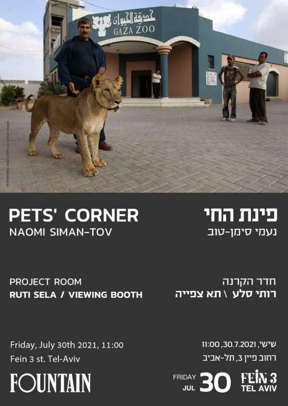 Naomi Siman-Tov: Pets' Corner
